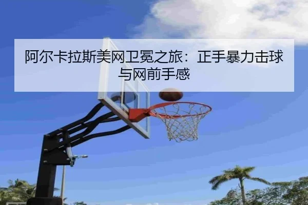 a-er-ka-la-si-mei-wang-wei-mian-zhi-lv-zheng-shou-bao-li-ji-qiu-yu-wang-qian-shou-gan-2-483.jpg