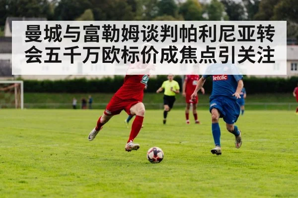 曼城与富勒姆谈判帕利尼亚转会五千万欧标价成焦点引关注