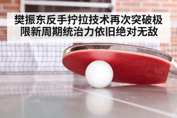 樊振东反手拧拉技术再次突破极限新周期统治力依旧绝对无敌